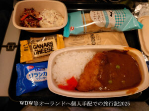 行きの機内食